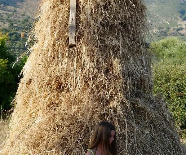 Tophill 公寓 博尔什